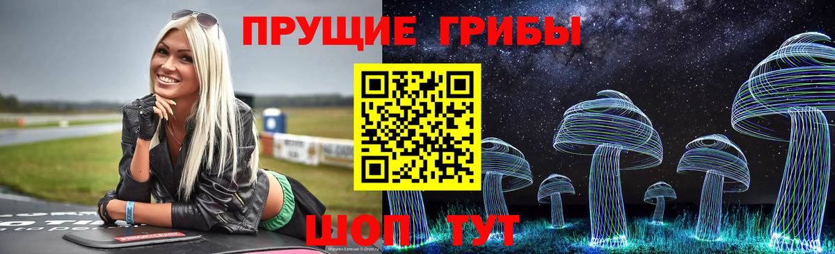 Тосно  купить наркотик  Вход с VPN  Галлюциногенные грибы прущие грибы 